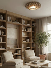 Load image into Gallery viewer, Pilke P65 Ceiling/Wall