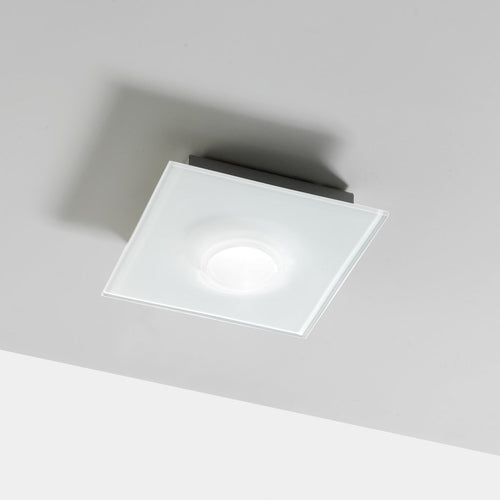 Pois 1L Ceiling