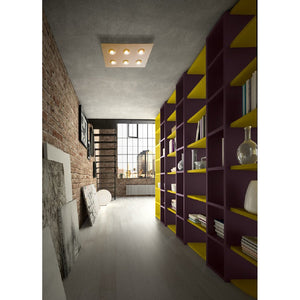 Pois 6S Ceiling